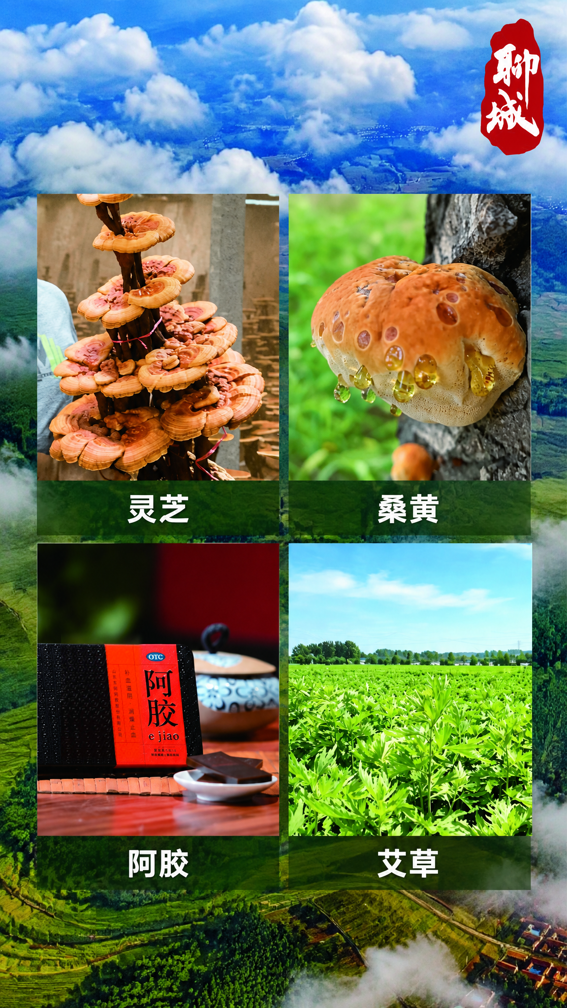 Liaocheng