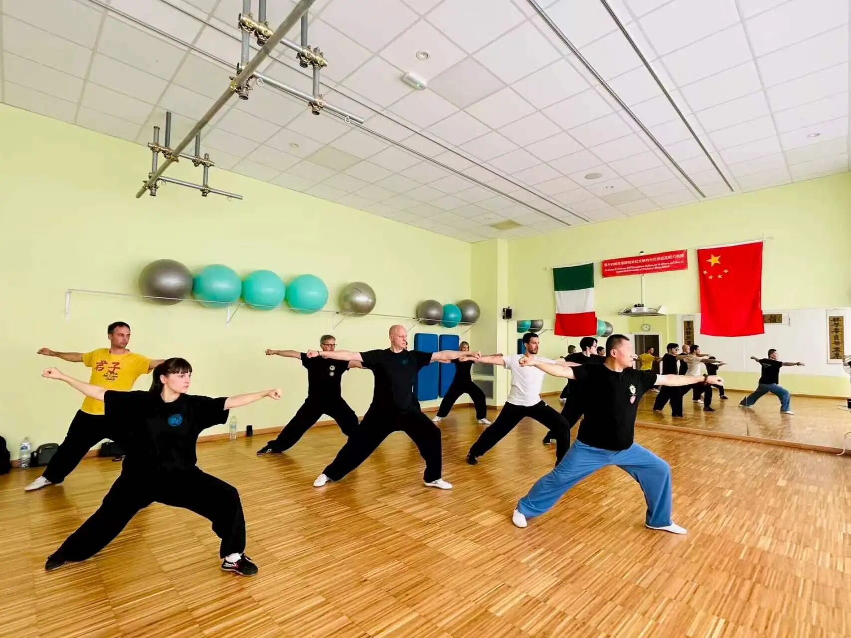Plum-Blossom Stake Boxing